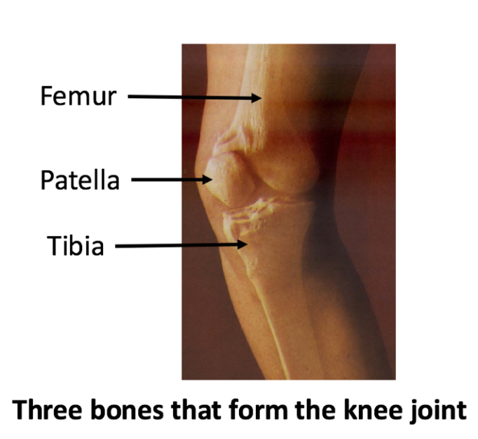 total knee replacement